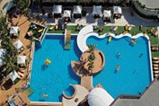 Aerial view of the pool with palm trees in the mid