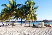 hotel beach with guano umbrellas and palm trees