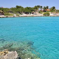 blue sea with rocky shore and greenery