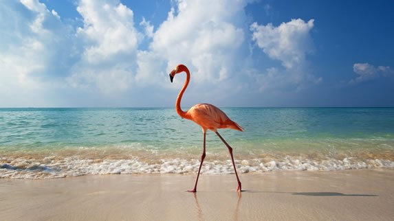 Riviera Maya - Mexico