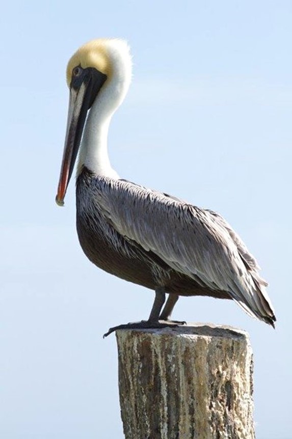 Sian Ka'an, Riviera Maya