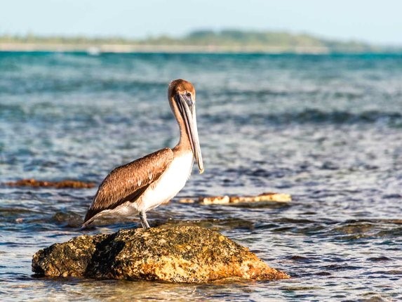 Sian Ka'an, Riviera Maya