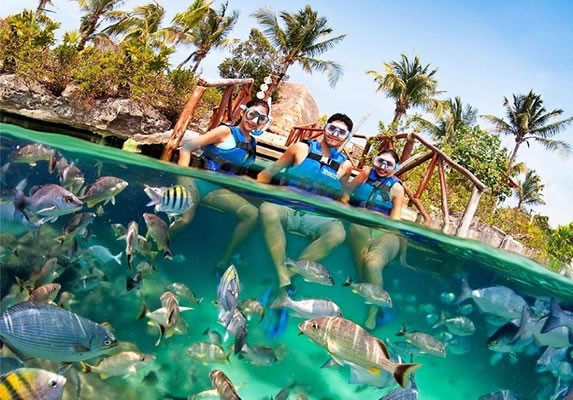 Tourists snorkeling on the beach