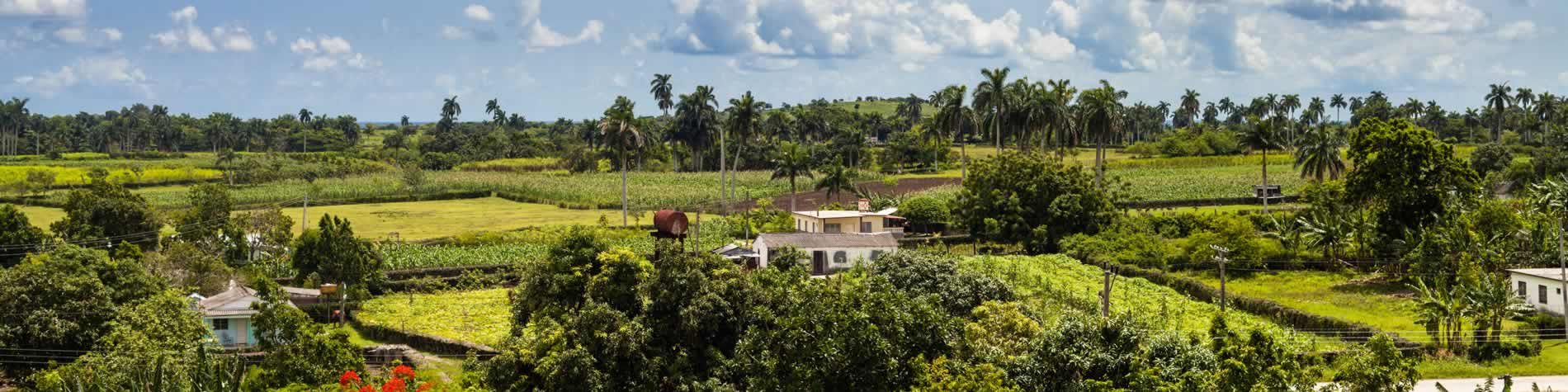 Paisaje campestre