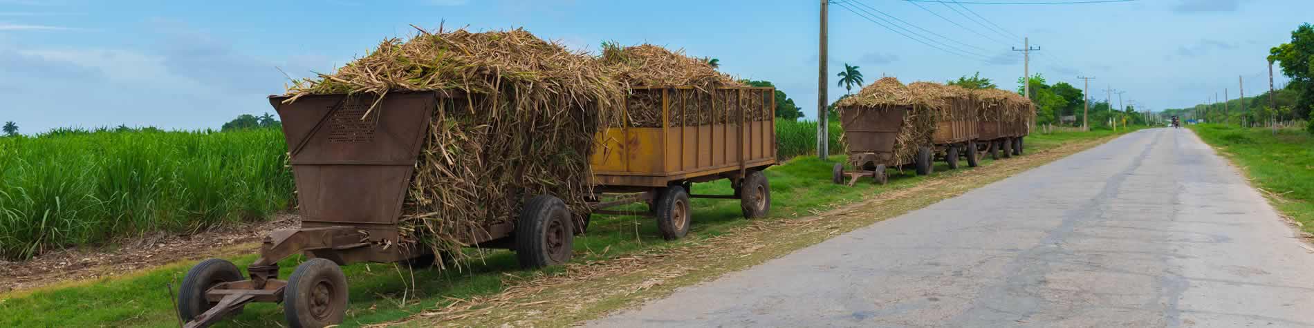 Sugar Cane wagons by teh road in Villa Clara