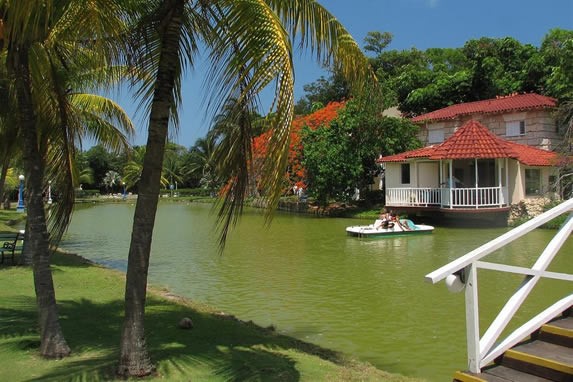 Vista del lago y vegetación del parque