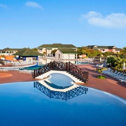 Aerial view of a pool with a bridge