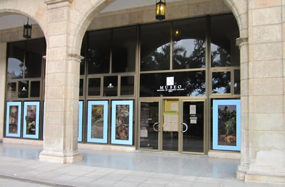 View of the entrance to the Natural History Museum