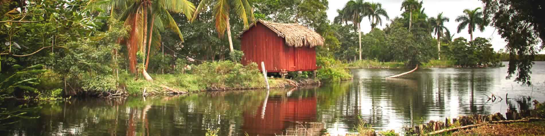 View of the swamps of Zapata