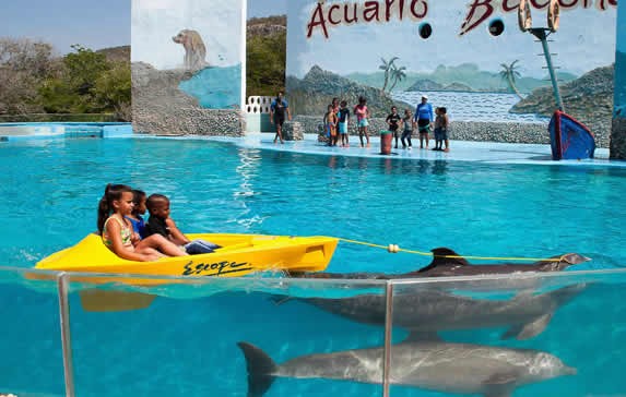 dolphins pulling children in a small boat