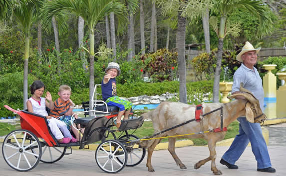 children riding a goat at the hotel