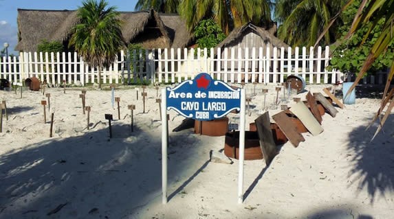 closed perimeter with sand floor and signs