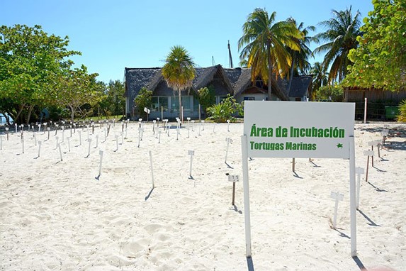 closed perimeter with sand floor and signs