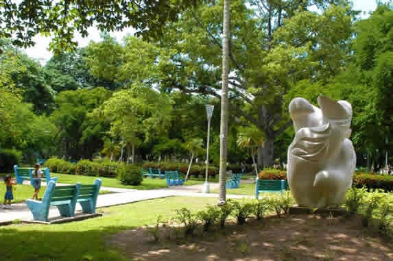 parque con bancos rodeado de vegetación