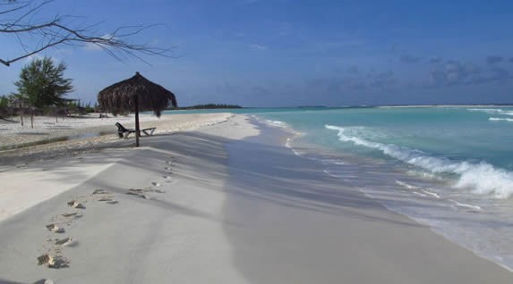 footprints on the sand and guano umbrella