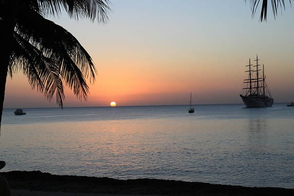 playa con palmeras al atardecer