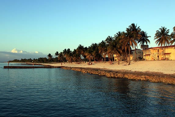 playa con palmeras al atardecer