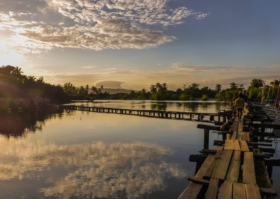 atardecer en la laguna rodeada de vegetación