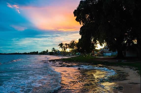 dusk on the beach surrounded by greenery