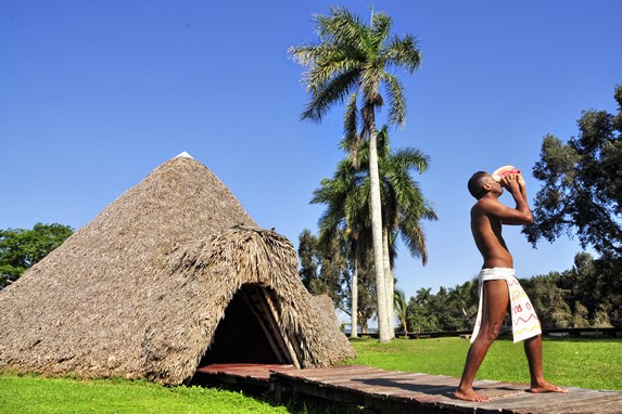 palm trees landscape with cuban tipical hut