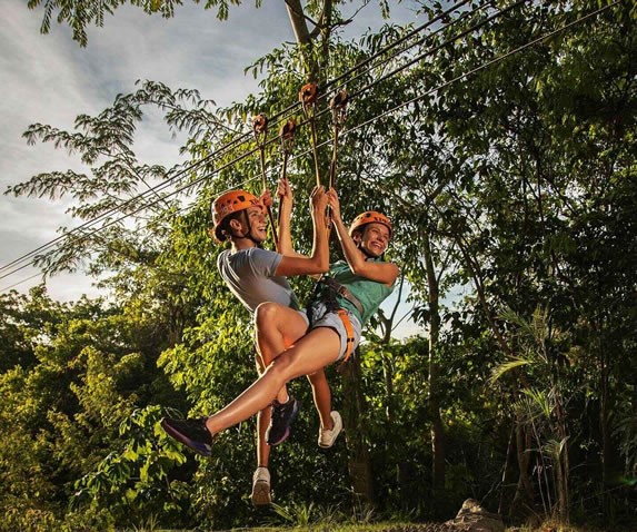 Zip lines in the park