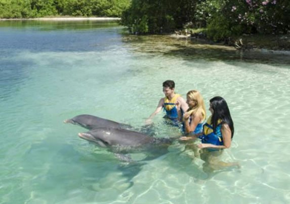 Baño con delfines en el delfinario de Varadero