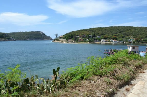 vista a la bahía rodeada de montañas y vegetación