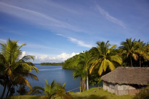 view of the bay with vegetation on the shore