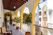 balconies with furniture and decorative plants