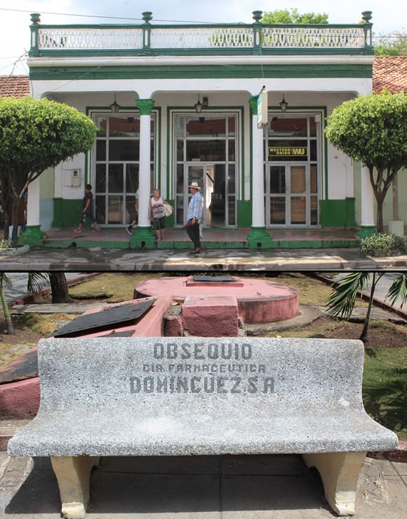 bancos en el parque rodeados de plantas