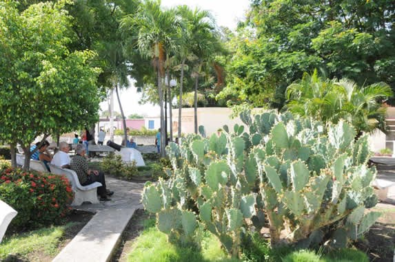 bancos en el parque rodeados de plantas