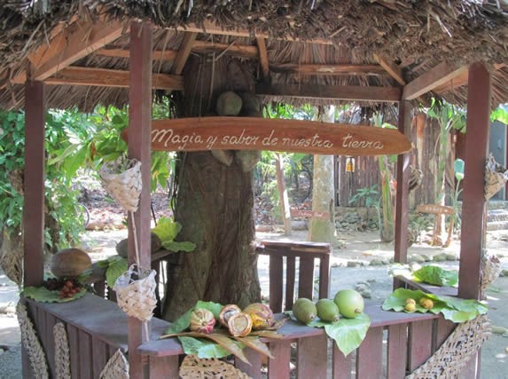 rustic wooden bar decorated with coconuts