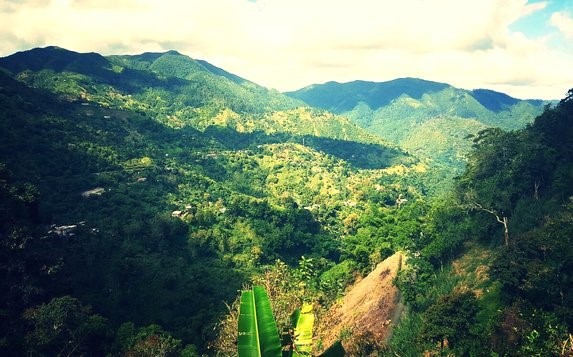 Blue Mountains - Ocho Rios