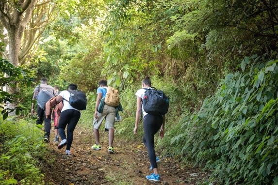 Blue Mountains - Ocho Rios