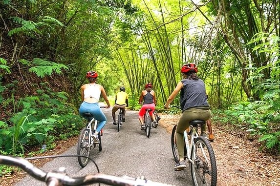 Blue Mountains - Ocho Rios