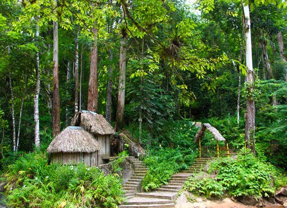 bohio on path with trees and vegetation