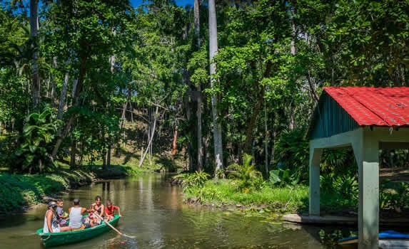 bote en la laguna rodeada de vegetación