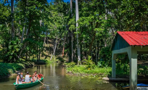 boat in the lagoon surrounded by greenery
