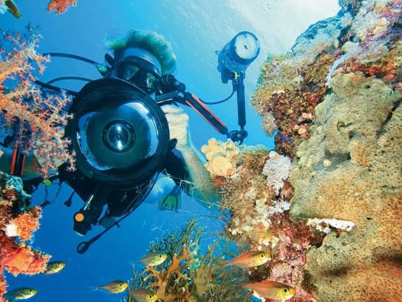 diver with aquatic camera in the ocean