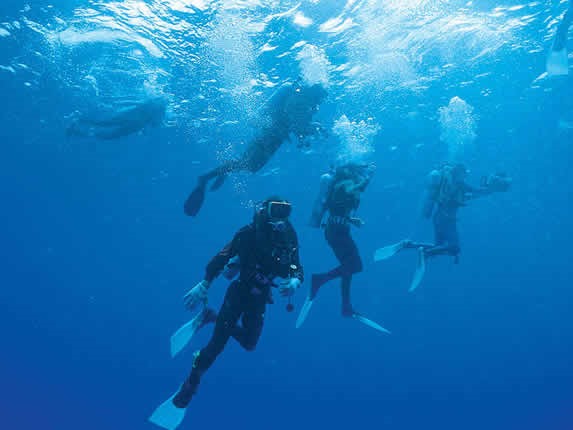 underwater divers
