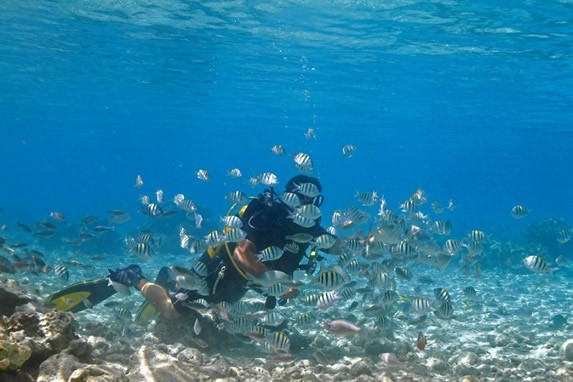 buzo bajo el agua rodeado de peces