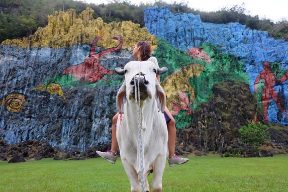 tourist riding a buffalo around the mural