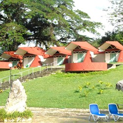 small one-story bungalows with greenery