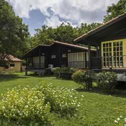 wooden bungalows surrounded by greenery