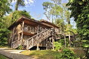 wooden cabin surrounded by greenery