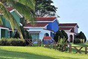 bungalows rodeados de palmeras y vegetación