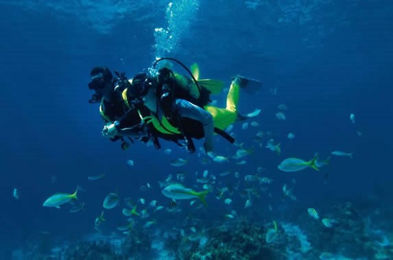 buzo rodeado de peces en el océano