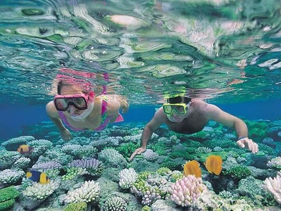 turistas haciendo snorkel rodeado de corales