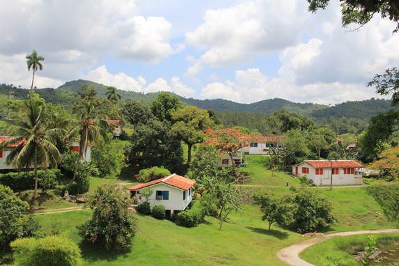 tiled roof cabins surrounded by greenery