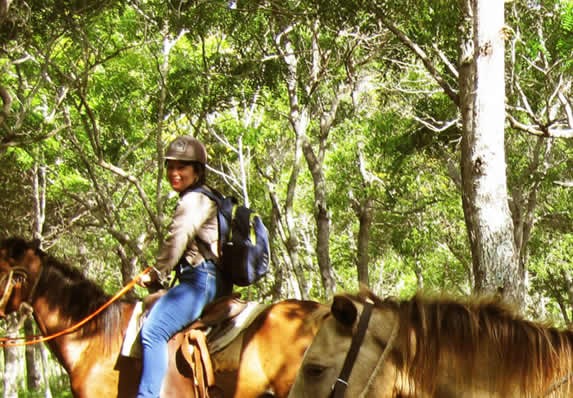 Caballos en el parque Rocazul del Holguin